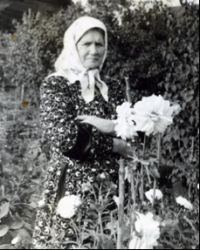 Зинаида Толстова, 1957 год.