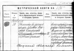 Метрическая книга на 1895 год.