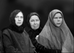 Снохи Толстовы. 1914 год.