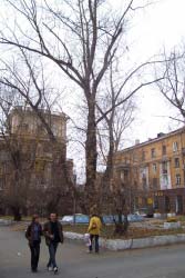 Главная улица города — Ленина